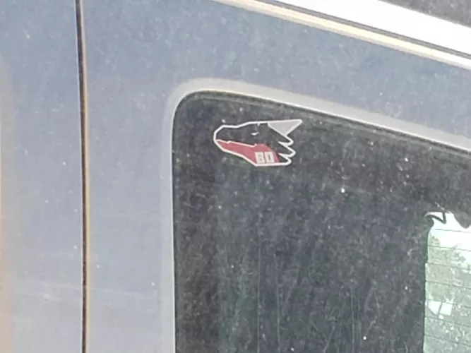 Caught one by aboxofsock