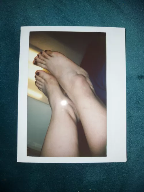 Caught the sunlight by Ayne-Yuki