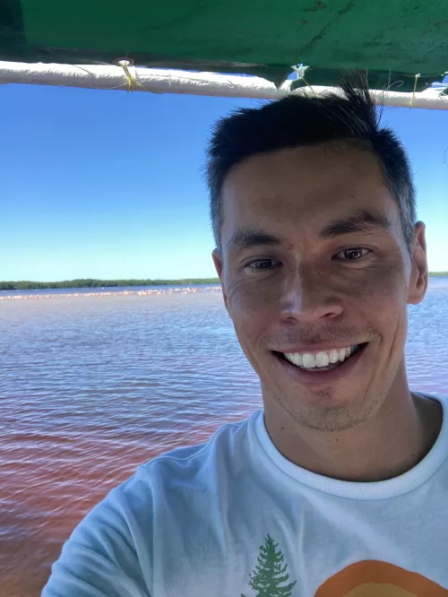 Celebrated the Holidays with flamingos :) by California415808