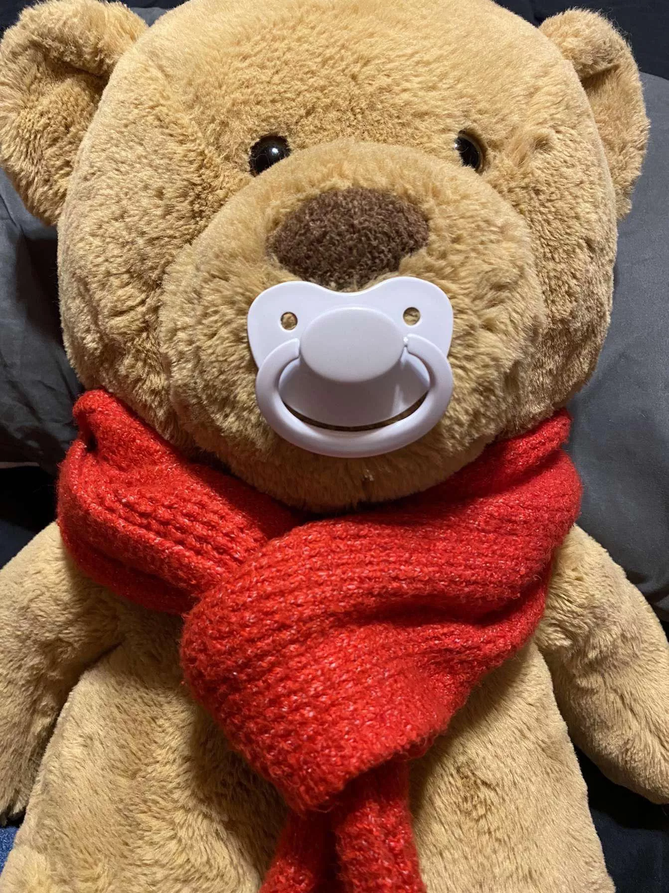 Charlie gots himself a paci🥰 posted by Ambern1996