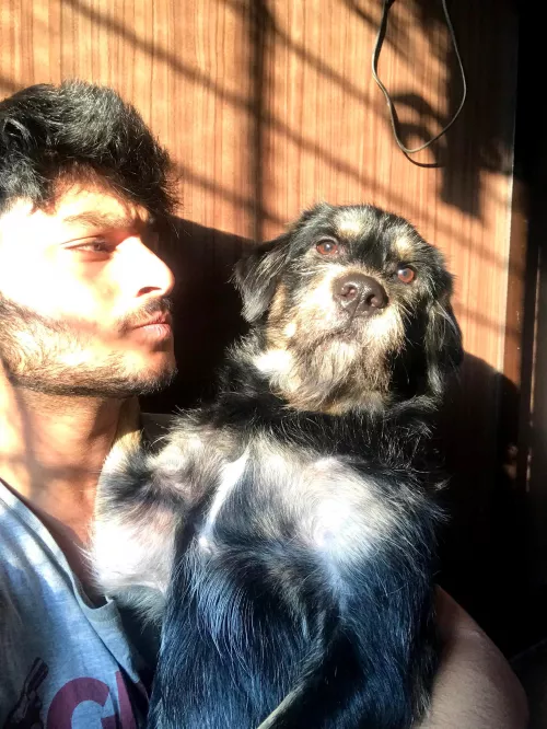 Charlie is not impressed with the sunlight 😮‍💨 by Houselannister_69