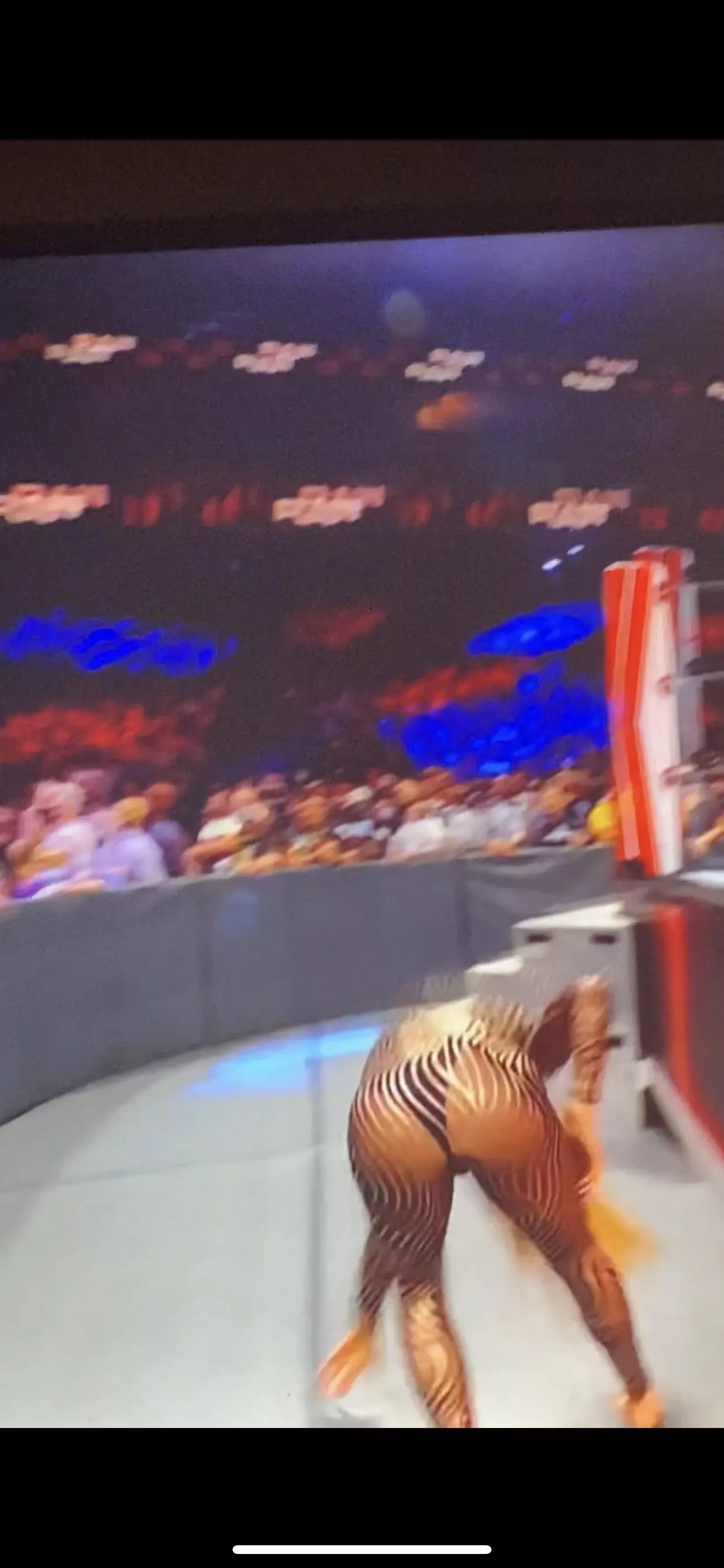 Charlotte Flair’s thong posted by Trick-Turnip7241