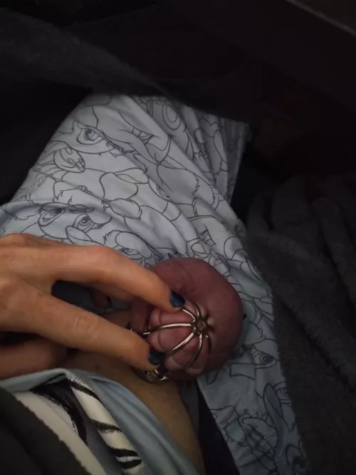 Chastity day 27 locktober day 12 🥰 by sissy_Jeyda