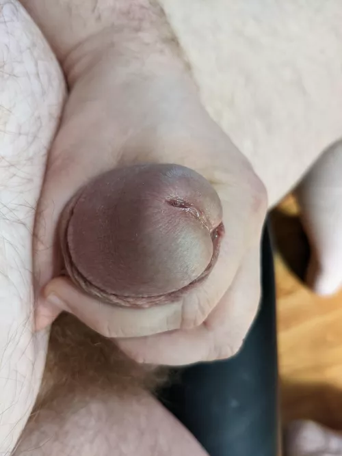 Chatting all morning has been...stimulating by cute_chub