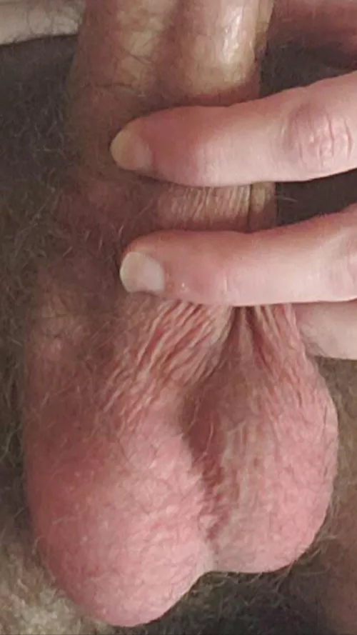 Check my profile if you wanna see the rest....... by usaguy1991