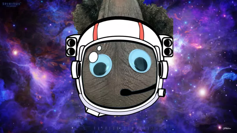 Check out my onlyfans for googly eyed balls pictures 😂 it's free! /ball-e by JamesSaladd