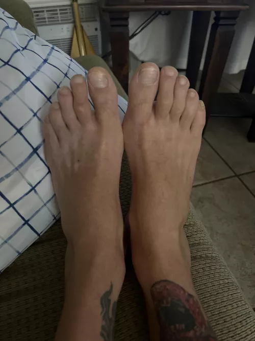 Check out my profile for link by AmbitiousHat6392