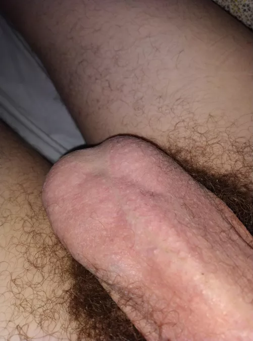 Check out the set! by SafeAffect200