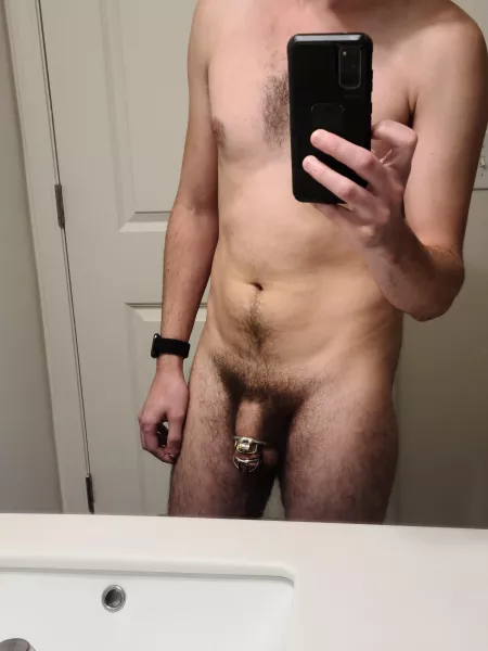 Checking in with my new cage! I got a little excited, any tips on keeping things contained? by idol8or