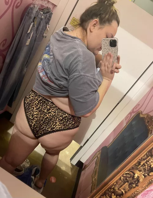 Cheetah by cajun_nation94