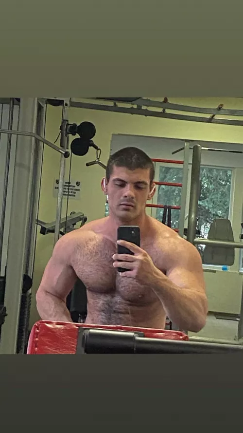 Chest by Pridestalkerlol