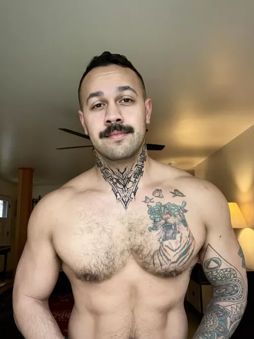 Chest day ✅ by DevTyler93