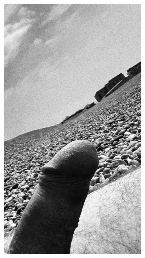 Chilled on the beach by domfuture