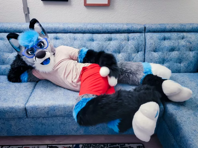 Chillin' 🫐🐾 by maxxthefoxx