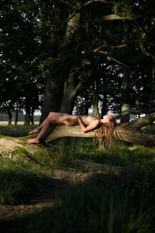 Chillin' by scandinaviannymph