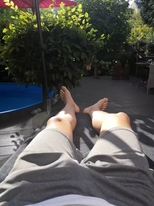 chilling in the garden by alecwen