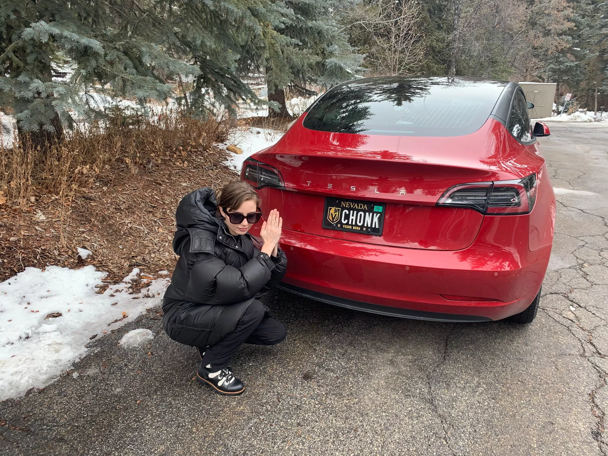 Chonk posted by liararoux