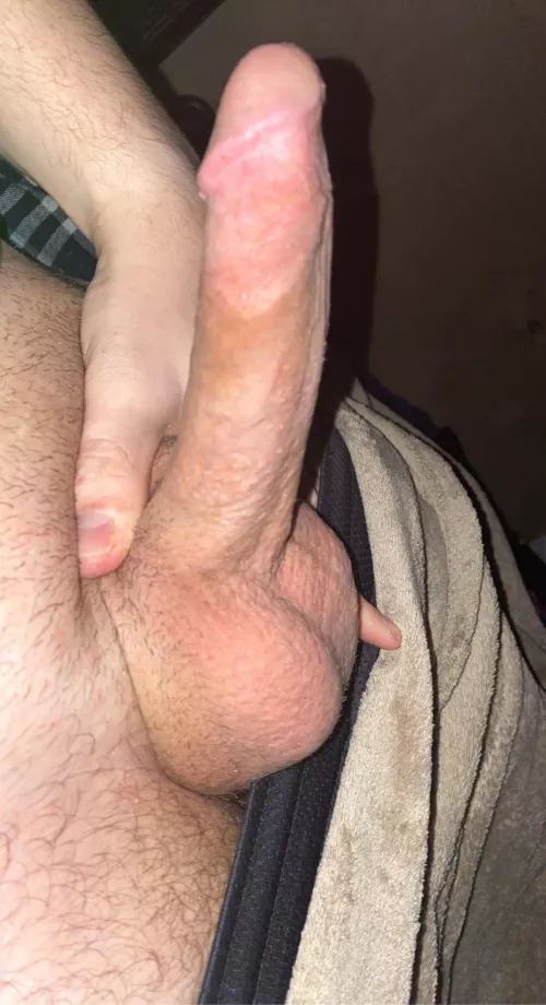 christmas cock anyone? dms are open by italianthickdick
