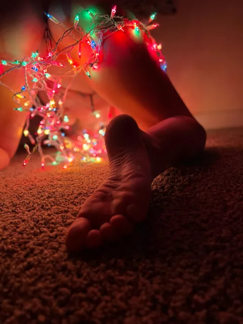 Christmas Eve 🤶 what’s for dinner ? by 16o7