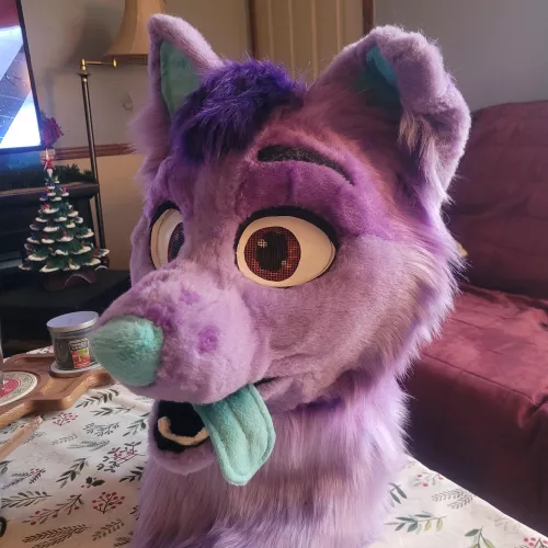 Christmas gift i just finished for my fiancee (maker MarsaOvO) by EmploymentSoggy5652