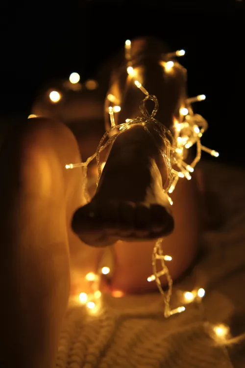 Christmas mood in your face by Sofya_owl