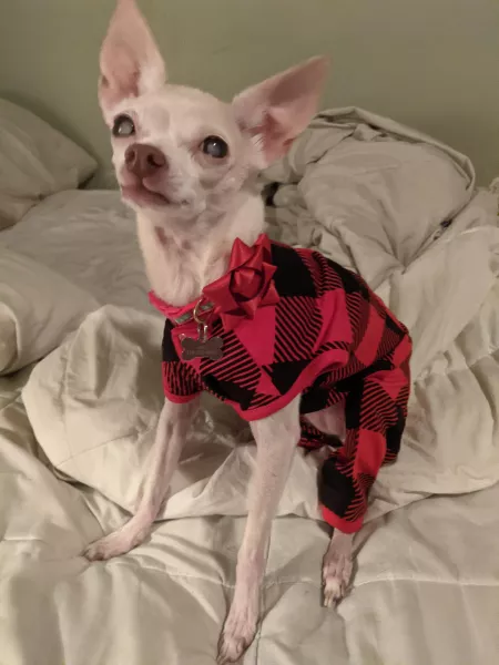 Christmas PJs by sthapNaow