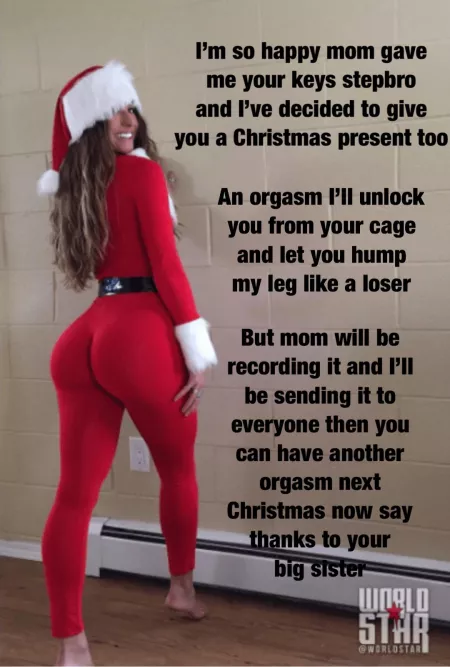 Christmas present from sister by chastitythrowaway97