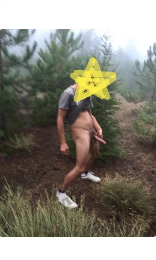 Christmas tree from Berlin 😝 by ekaryabaros