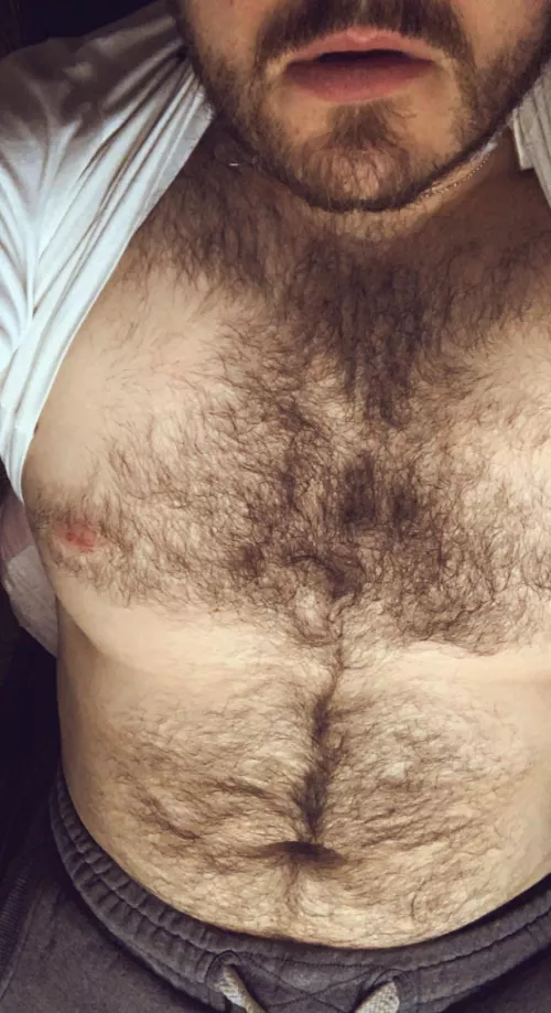 Chubby and hairy a deadly combo by saysomethingsir