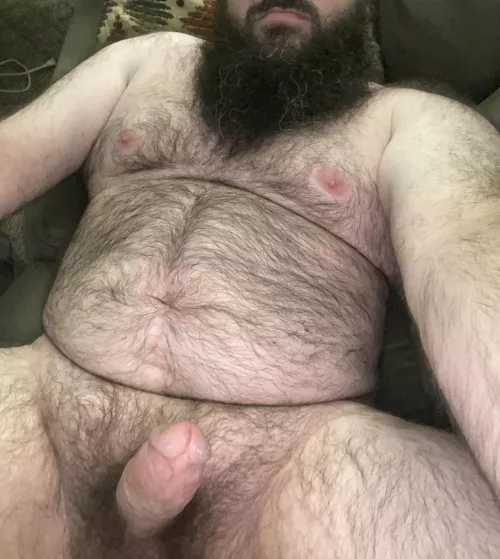 Chubby daddy bear for twinks by papa_bear_518