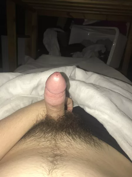 Chubs dm me if u like my cock by Shawnthekool4
