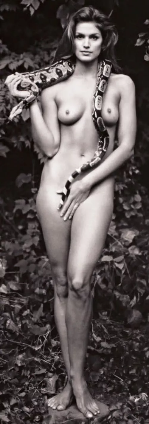 Cindy Crawford was a queen of my penis (1993) by cor0094