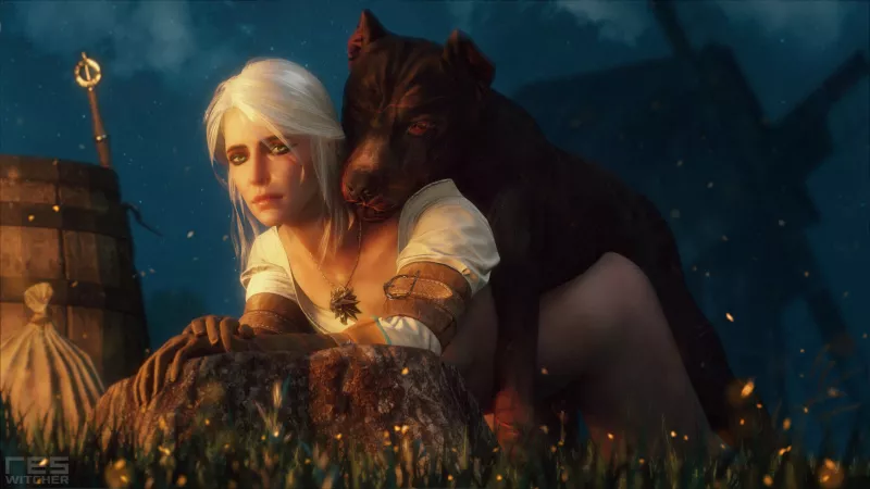 Ciri felt lonely [Witcher] (ResWitcher) by celebsadmirer