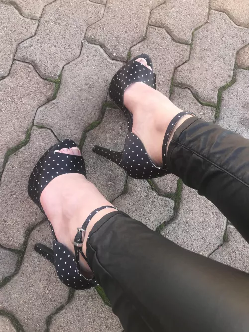 Classy today 🥰 whatcha think? (OC) by BetterThanStarlight