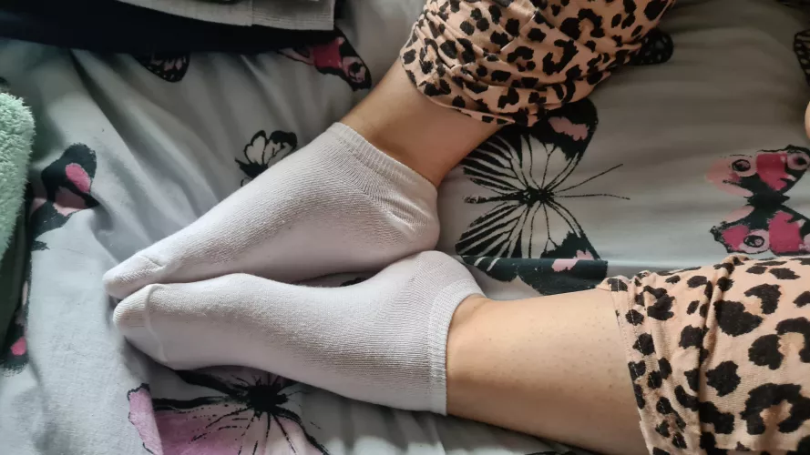 Clean and white, ready to please a fan with custom pics 😍 by Mysocksforyou