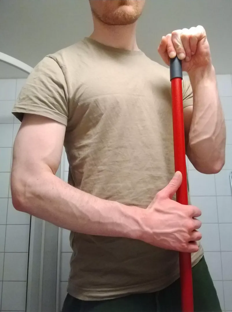 Cleaning day posted by whistlingkitedragon