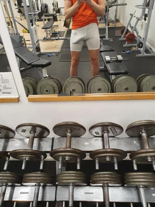 clearly too obvious by Ales_23