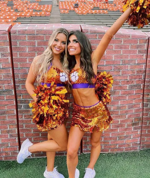 Clemson RallyCats, which one are you going with? by Utahmetalhead