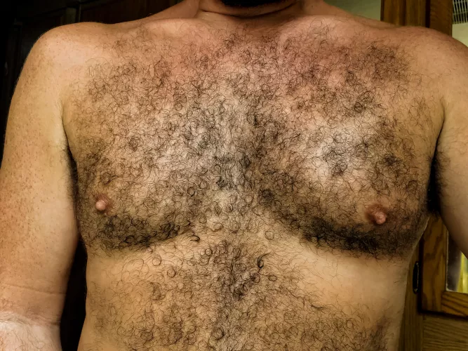 Clippers pull break by hrh409