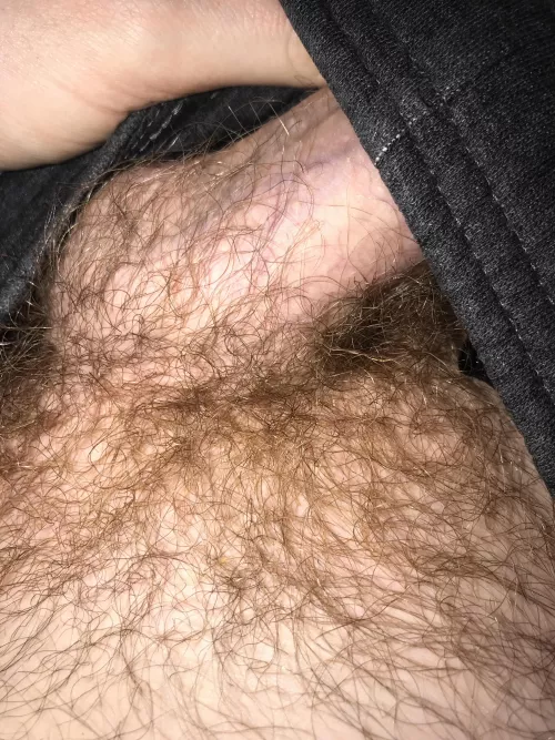 Close up 😜 by jackets542