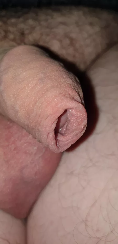 Close up anyone? by Dull_Mobile_5007