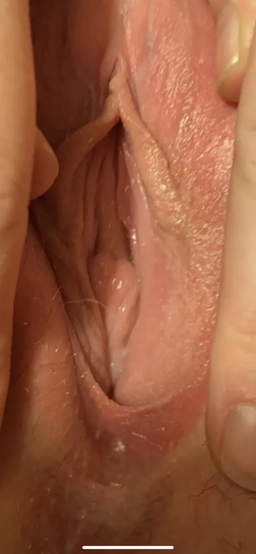 Close up ....is she pretty? by cdill42