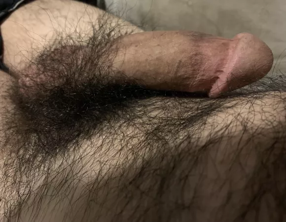 Close up of my untrimmed pubes and cock by frozen-artic