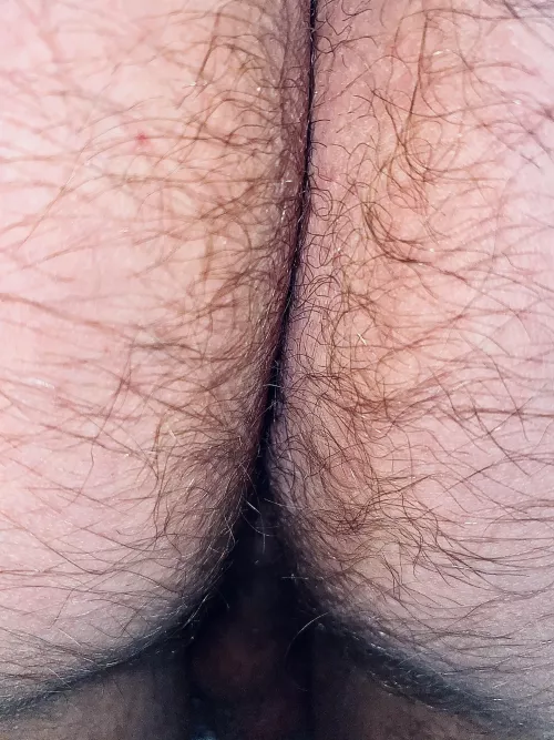 Close up of the furry buns by grrrfurrr