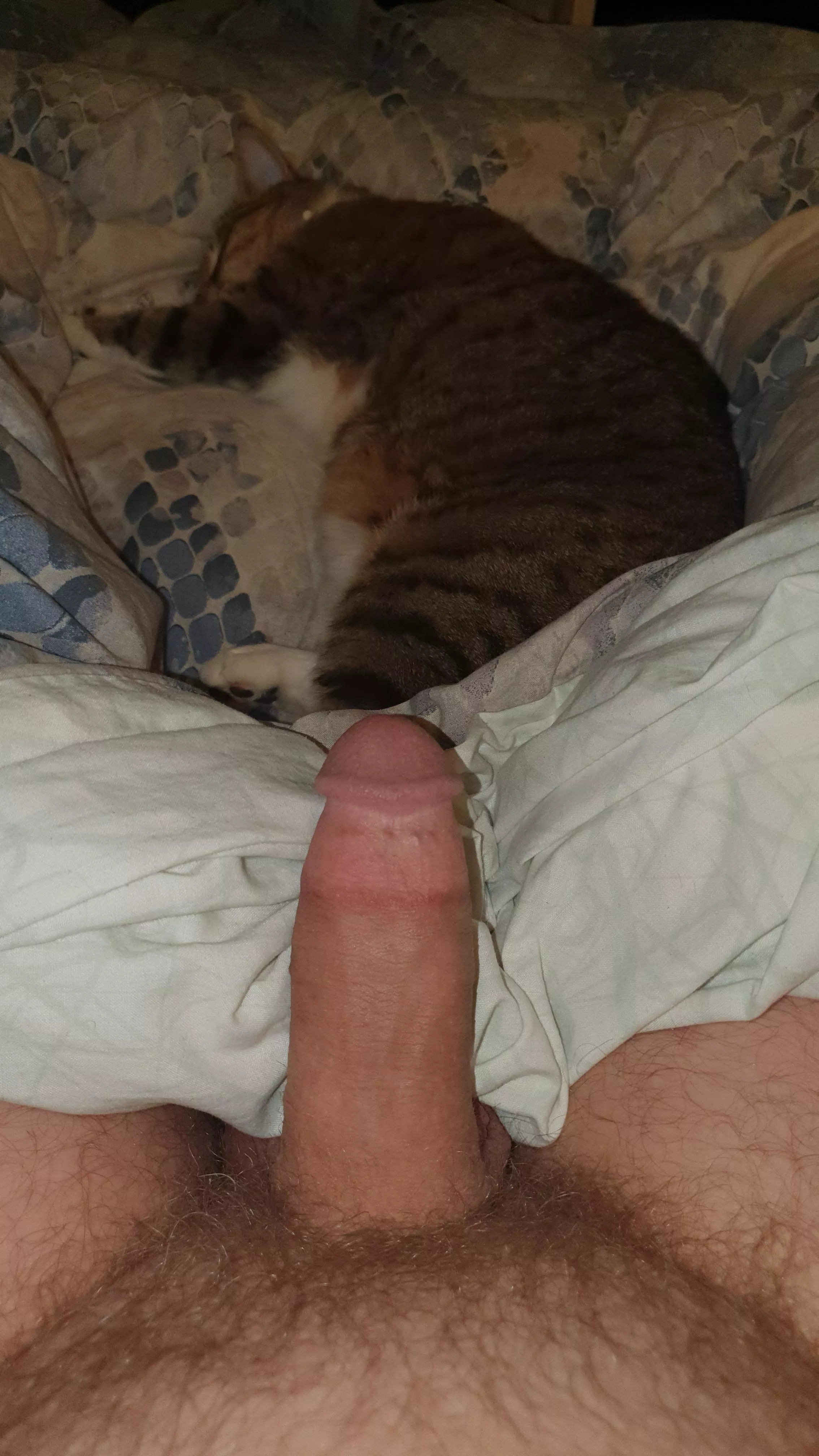 Cock and pussy posted by bad_wolf_2376