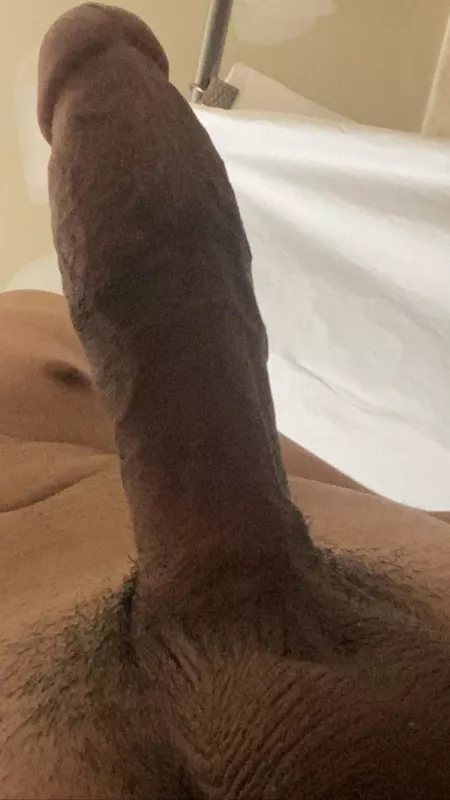 Cock. by Regular_Purpose_1363