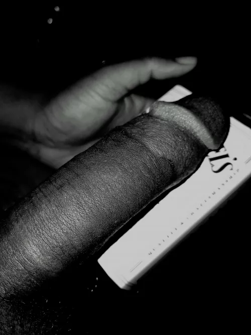 Cock noir by Few-Establishment664