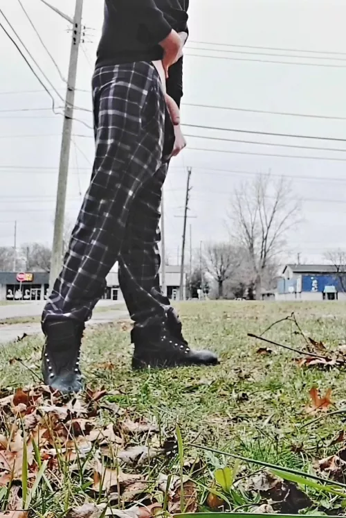 Cock out by a road and some houses, what would you do if you saw it? by RudeNudeDude1874