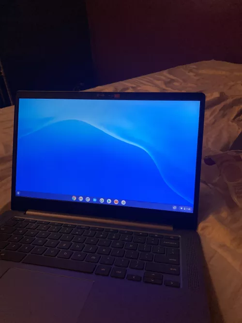 Cocktribbing. 100% private. Kik: gftribber by No-Rutabaga8532