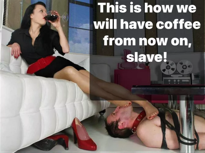 Coffee, wine, it applies to all! by romaniaslave